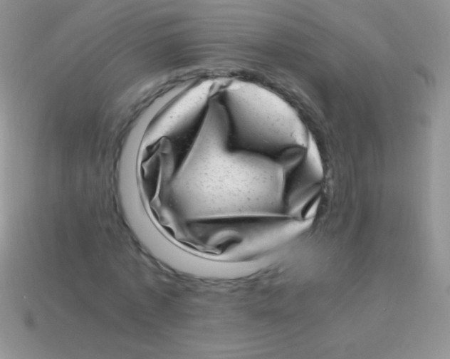 X0000113640773200910162036