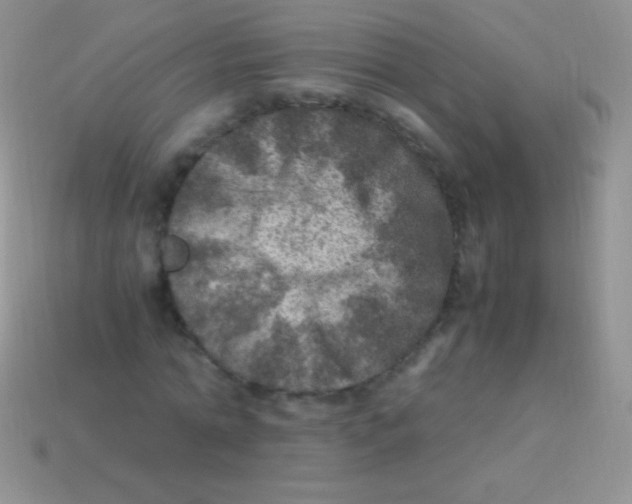 X0000113640774200910162036