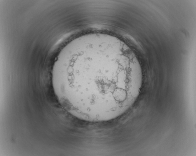 X0000113640776200910162036