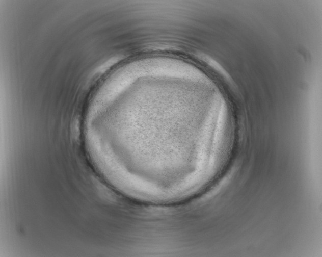 X0000113640777200910162036