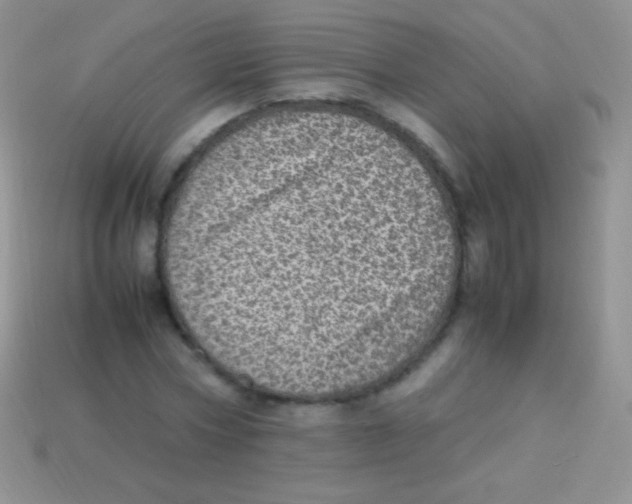 X0000113640778200910162036