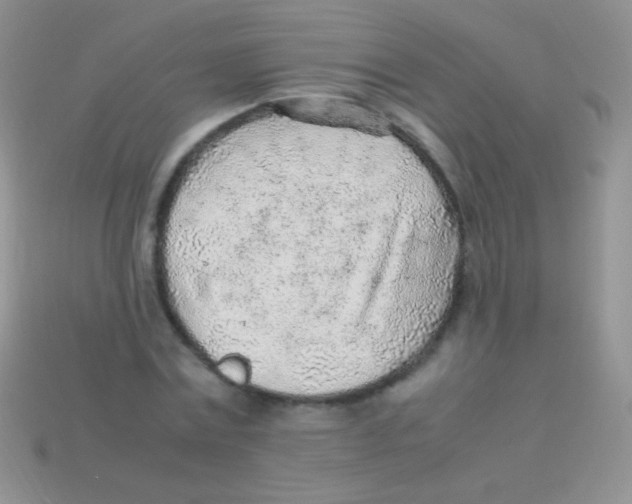 X0000113640779200910162036