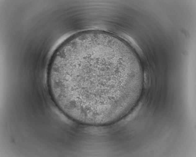 X0000113640780200910162036