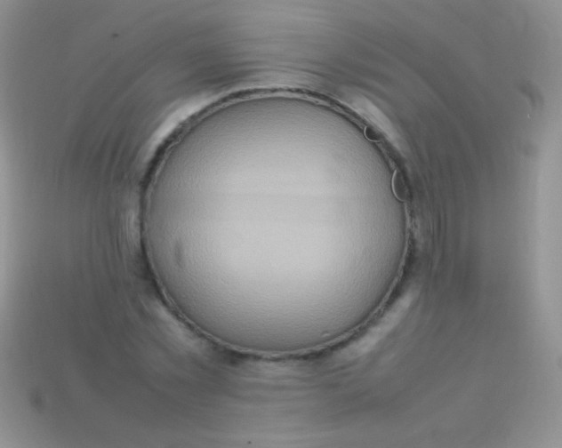 X0000113640781200910162036