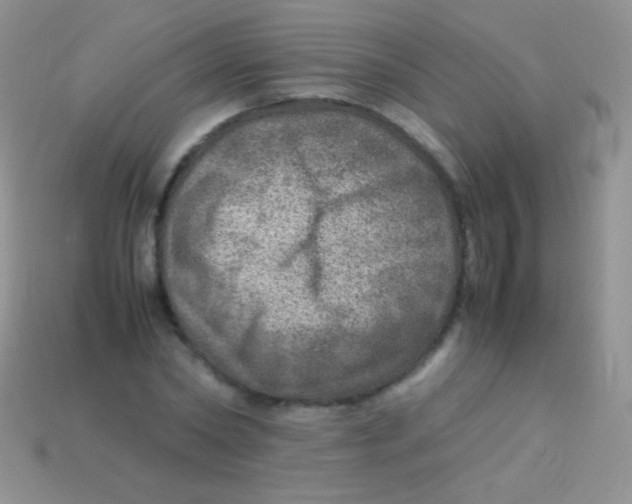 X0000113640782200910162036