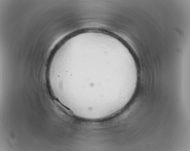 X0000113640783200910162036