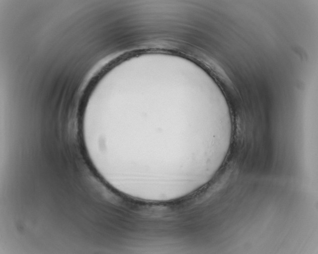 X0000113640784200910162036