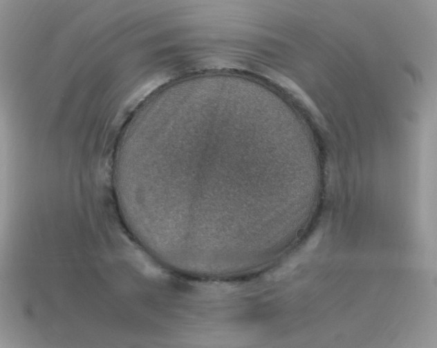 X0000113640785200910162036