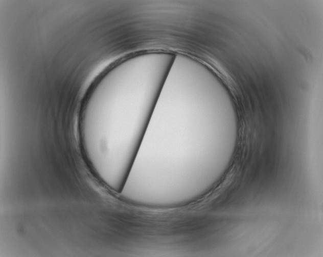 X0000113640788200910162036