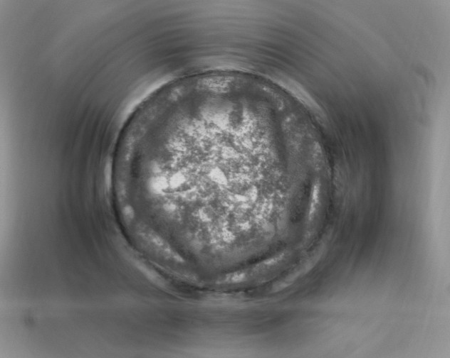 X0000113640790200910162036