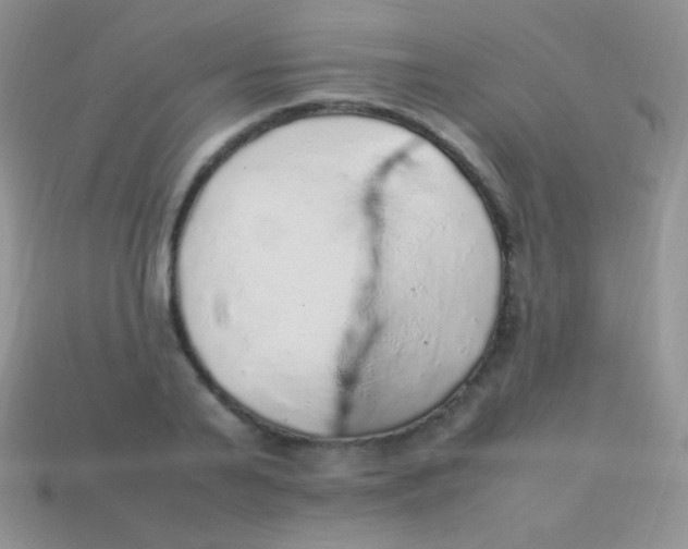 X0000113640791200910162036