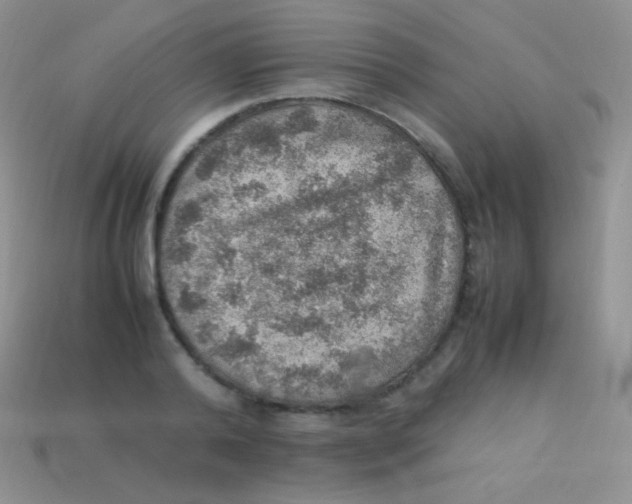 X0000113640792200910162036