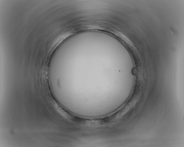 X0000113640793200910162036