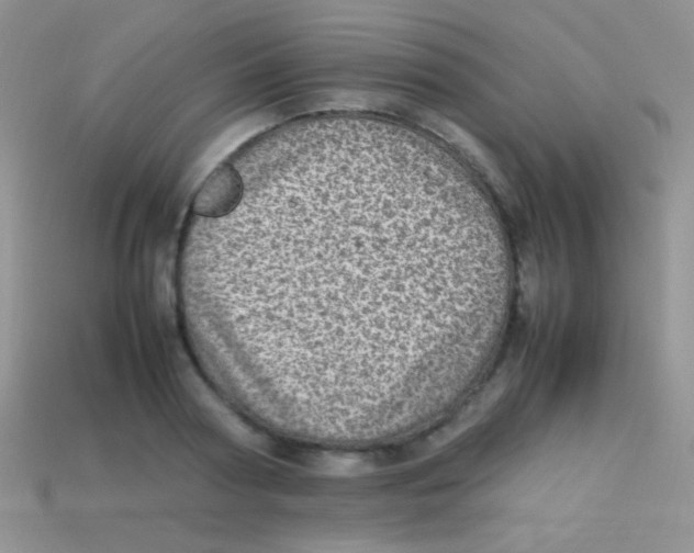 X0000113640794200910162036