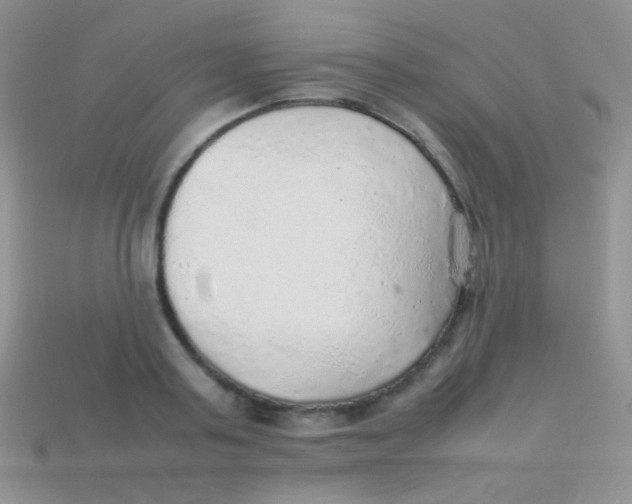 X0000113640795200910162036