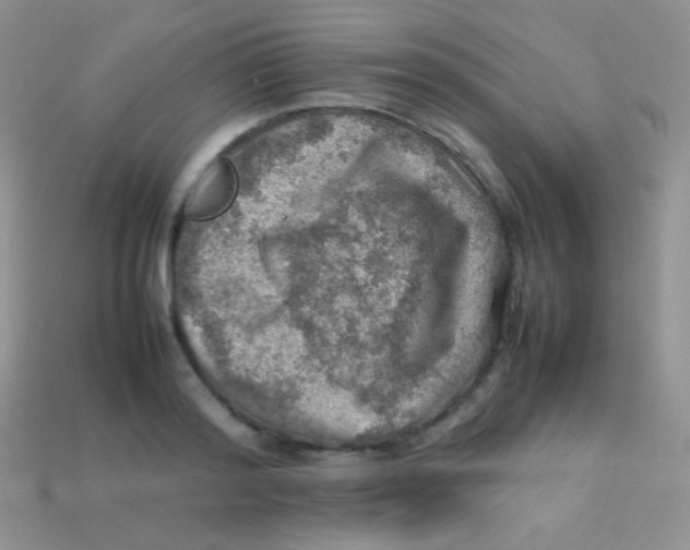 X0000113640796200910162036