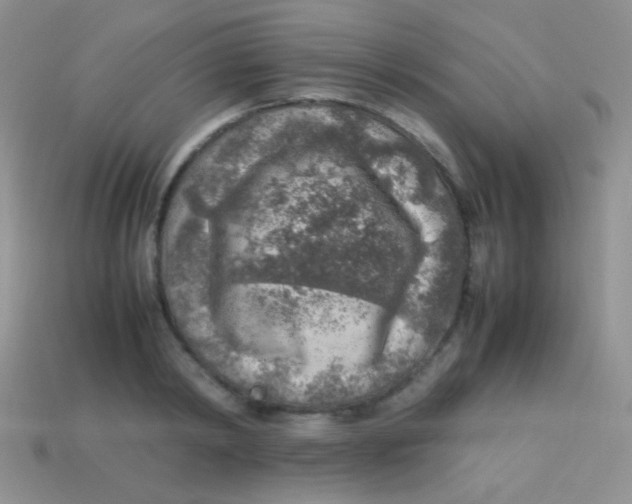 X0000113640798200910162036