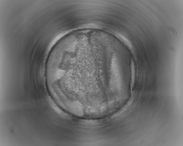 X0000113640800200910162036