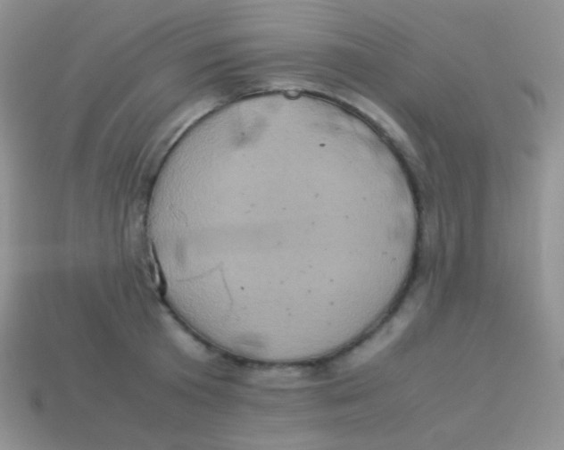 X0000113640801200910162036