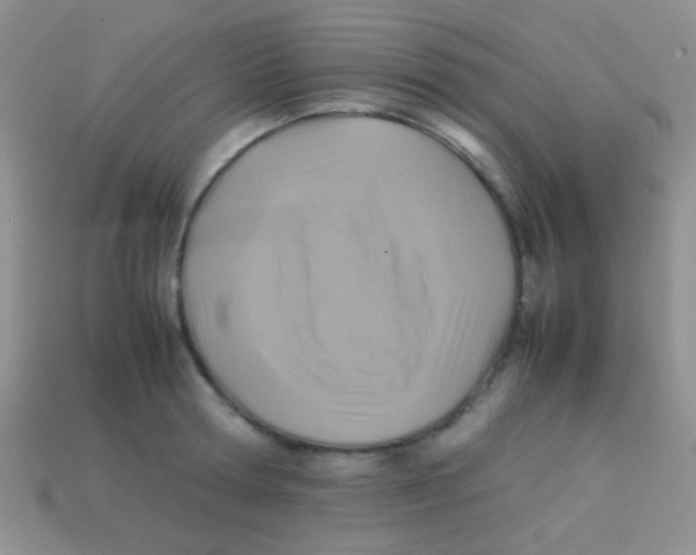 X0000113640802200910162036