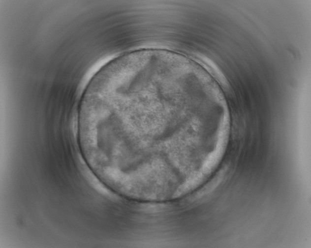 X0000113640804200910162036