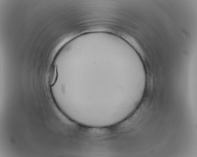 X0000113640805200910162036