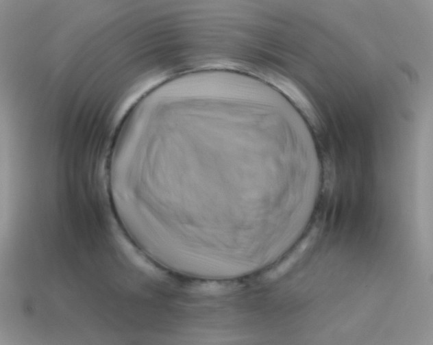 X0000113640806200910162036