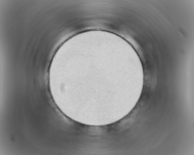 X0000113640807200910162036