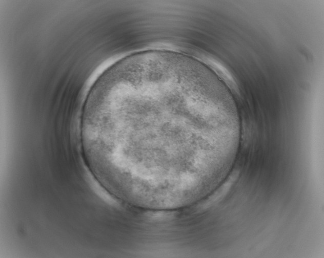 X0000113640808200910162036