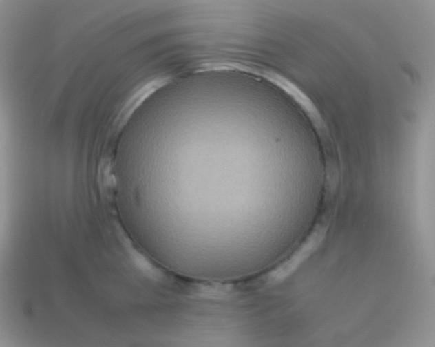 X0000113640809200910162036