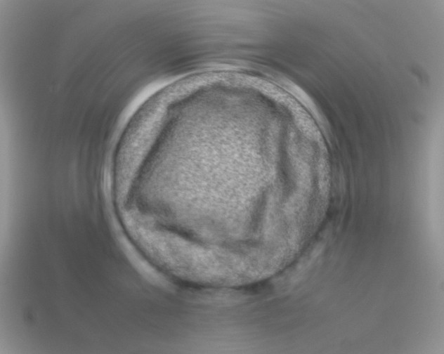 X0000113640811200910162036