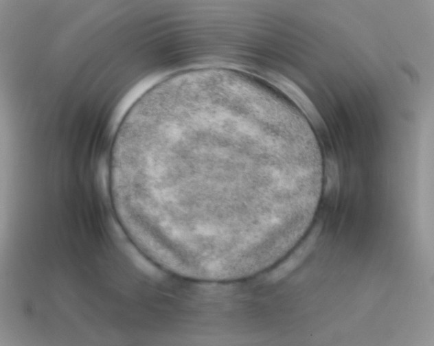 X0000113640812200910162036