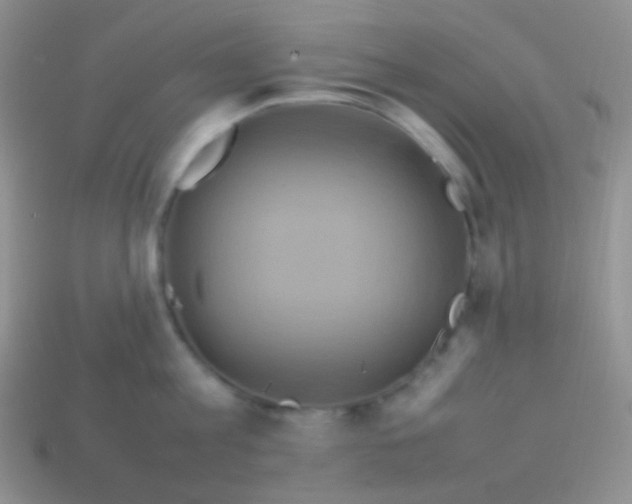 X0000113640813200910162036