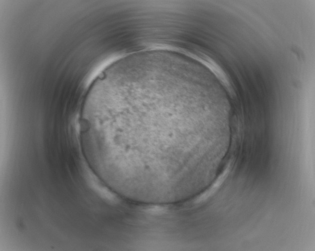 X0000113640814200910162036