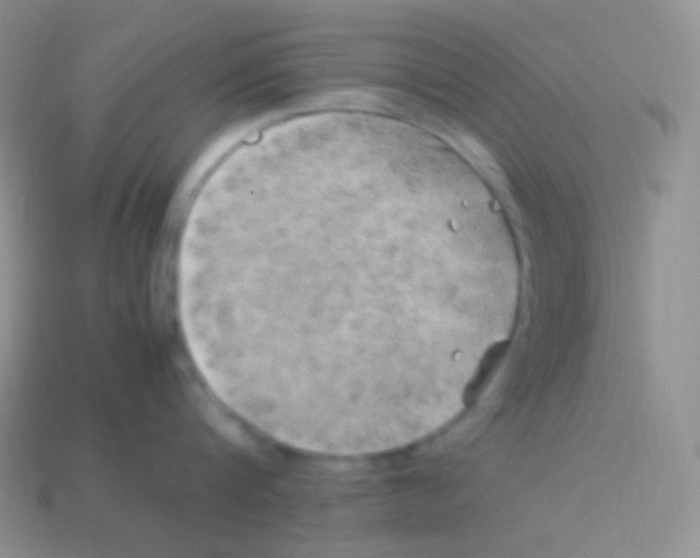 X0000113640816200910162036