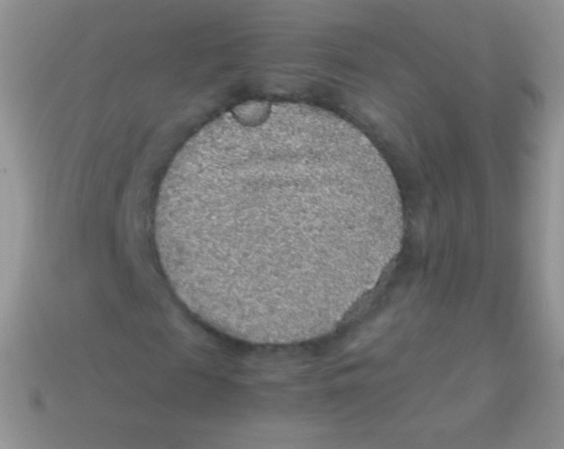 X0000113640817200910162035