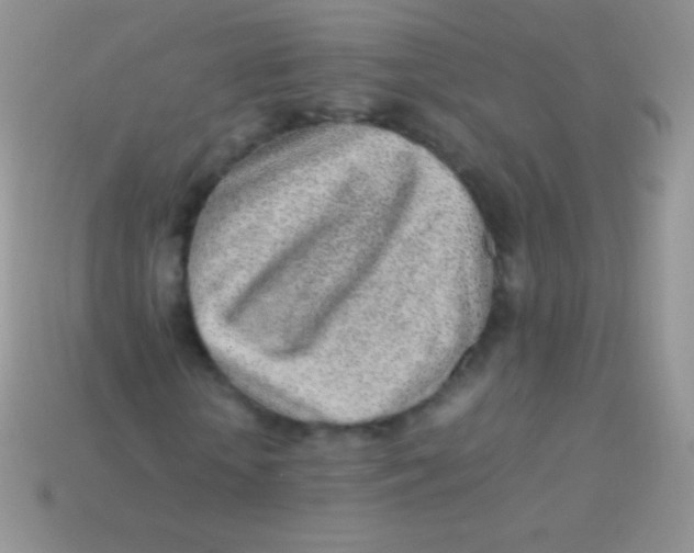 X0000113640818200910162035