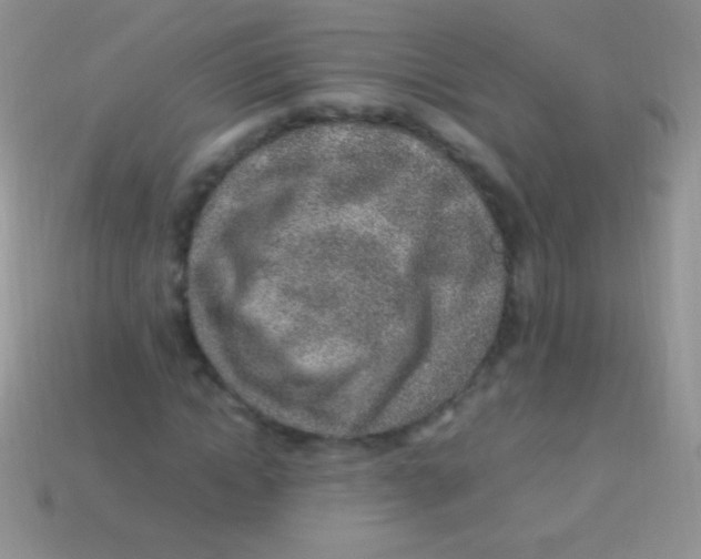 X0000113640822200910162035