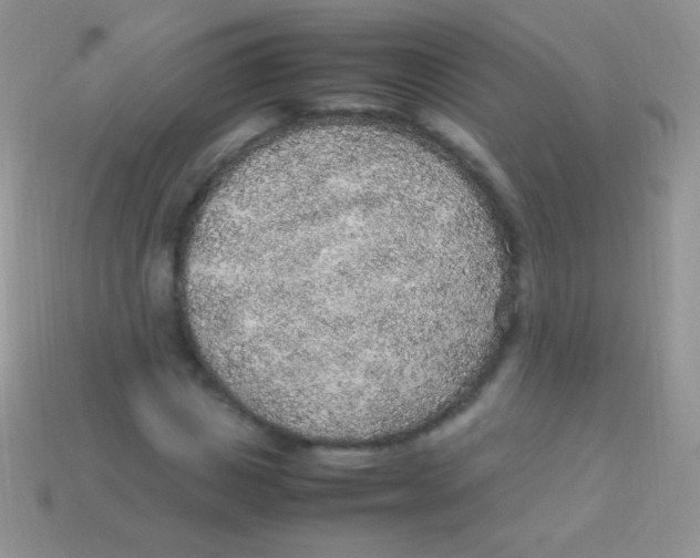 X0000113640825200910162035