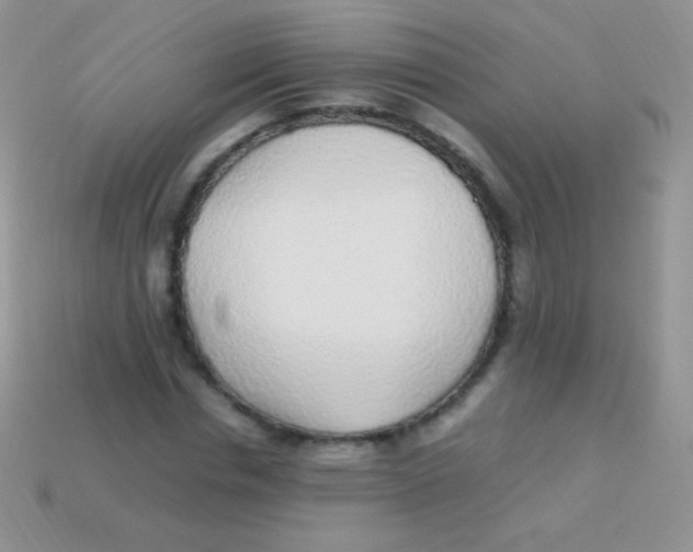 X0000113640826200910162035