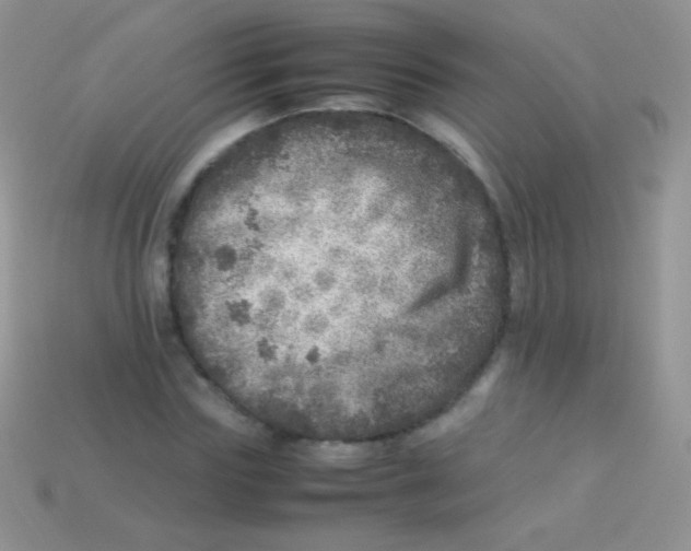 X0000113640827200910162035