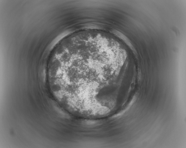 X0000113640829200910162035