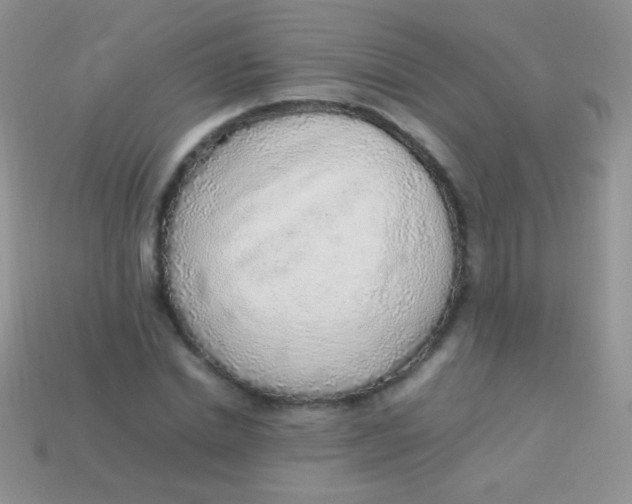 X0000113640830200910162035