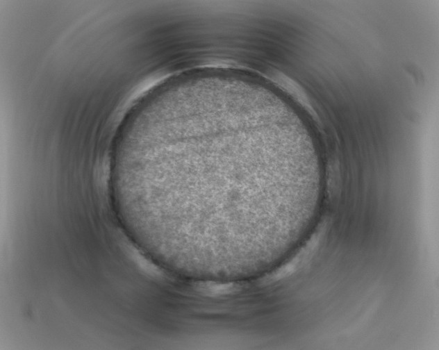 X0000113640831200910162035