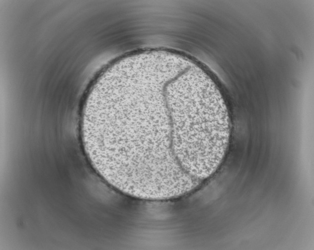 X0000113640832200910162035