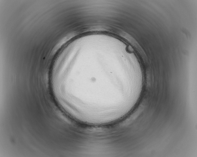 X0000113640834200910162035