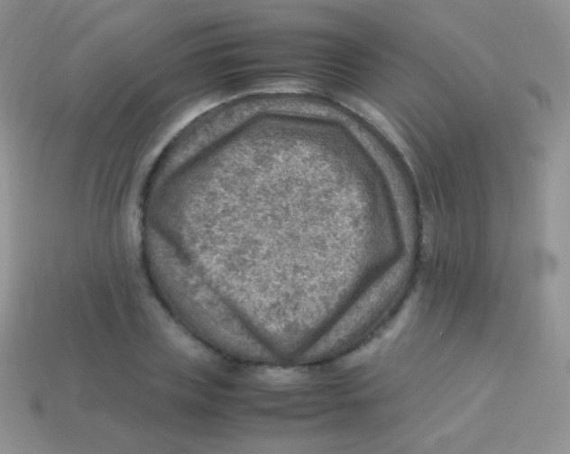 X0000113640835200910162035