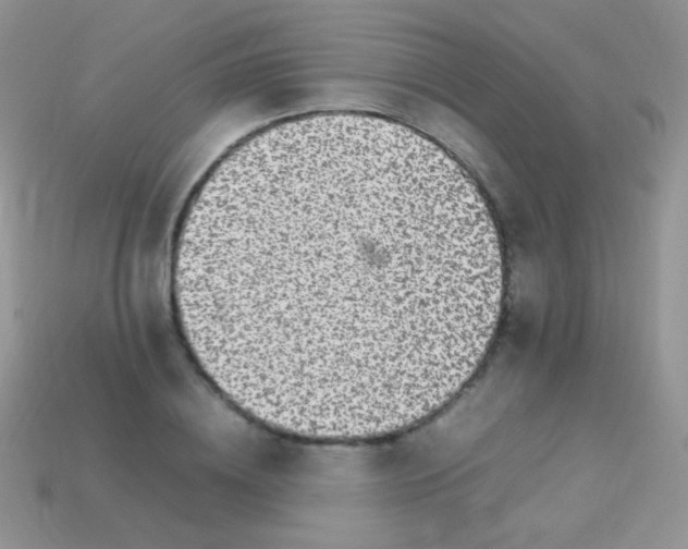 X0000113640836200910162035