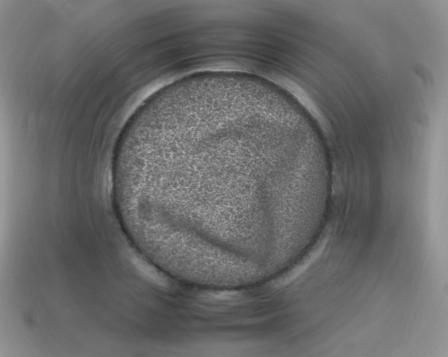 X0000113640837200910162035