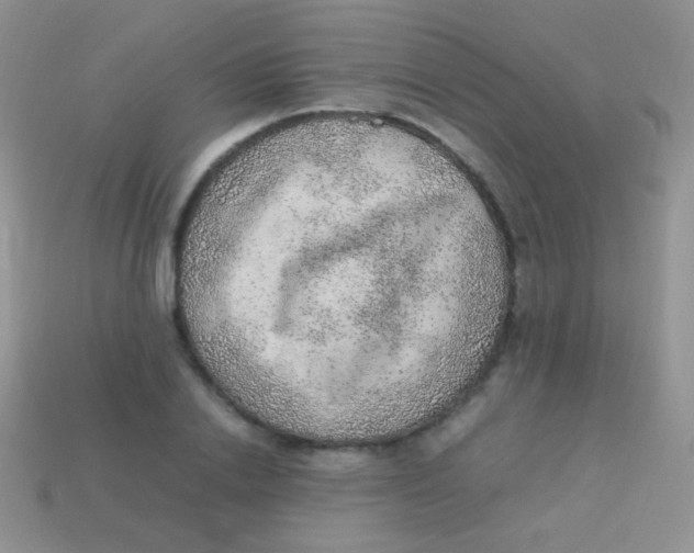 X0000113640838200910162035